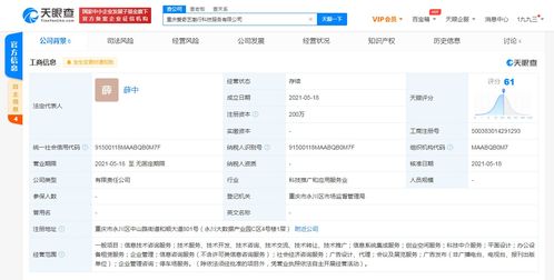 愛奇藝在重慶成立科技公司，拓展創業空間與信息系統集成服務